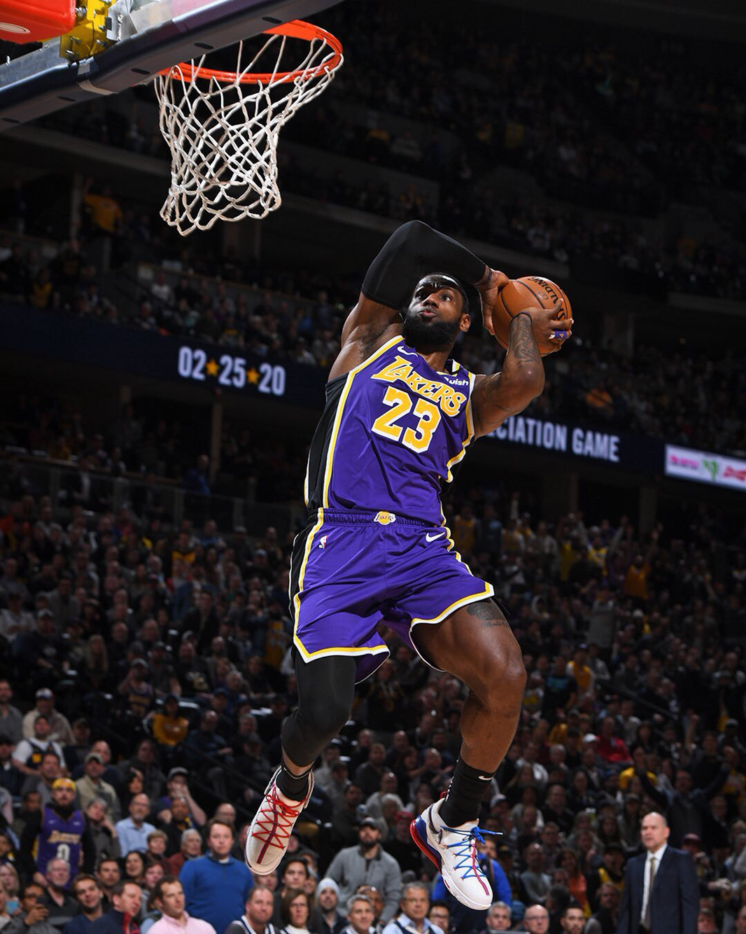 向鹏以其迅 向鹏以其迅